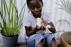 family-greenhouse_2859
