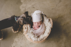 baby-photographer-centurion_1512