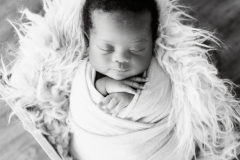 newborn_photo_shoot_0388