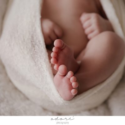 natural newborn sessions | everet’s newborn shoot