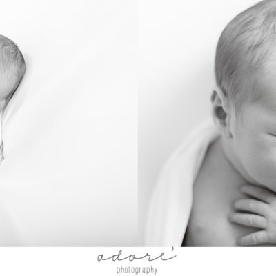 newborn photographer johannesburg | baby flowerday