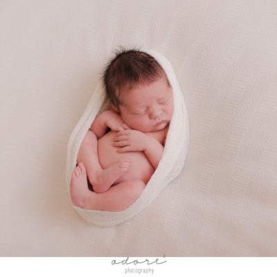 newborn photography studio | lume newborn shoot