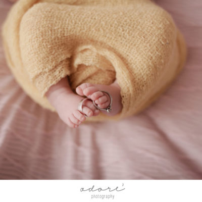 newborn photographer johannesburg | rene’s newborn shoot