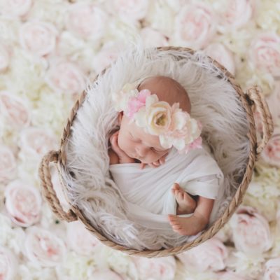 wessels newborn photo shoot