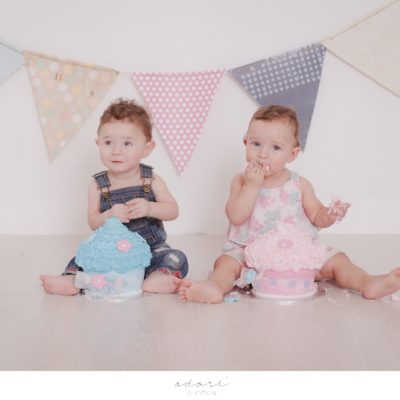 twins cake smash shoot | wilde twins my first year
